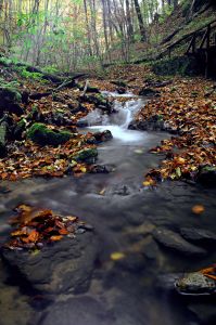 Környezeti, testi és lelki egészség Magyarországon az ezredfordulón