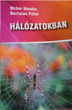 Recenzió Birher Nándor – Bertalan Péter #em#Hálózatokban#/em# című tanulmánykötetéről