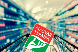 A fogyasztói etnocentrikus tendenciákra reagáló marketing-(rész)stratégiák