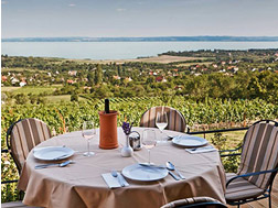 A Balaton északi partján lévő turisztikai szolgáltatók helyzete az elmúlt években