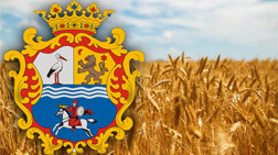 A diverzifikáció és a multifunkcionalitás lehetőségei Jász-Nagykun-Szolnok megye gazdálkodói körében