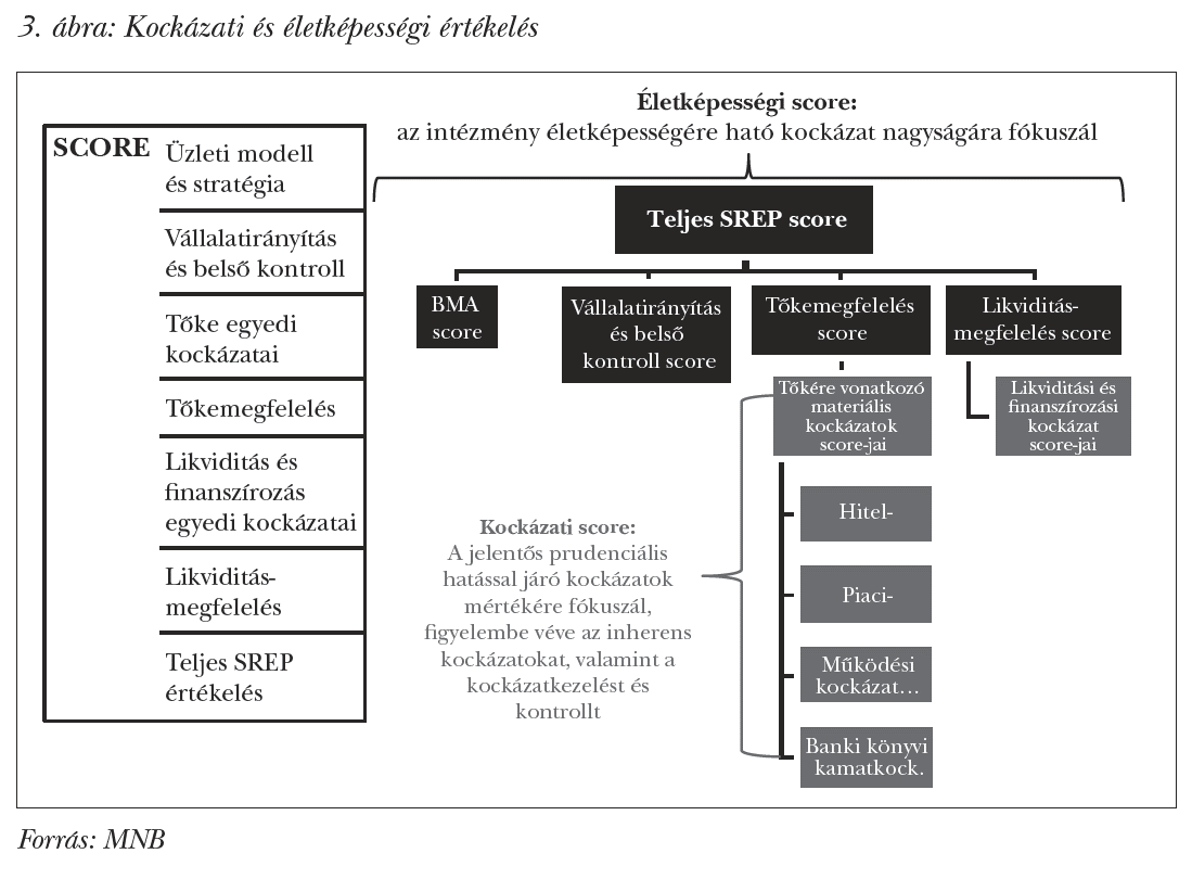 Kockázati és életképességi értékelés