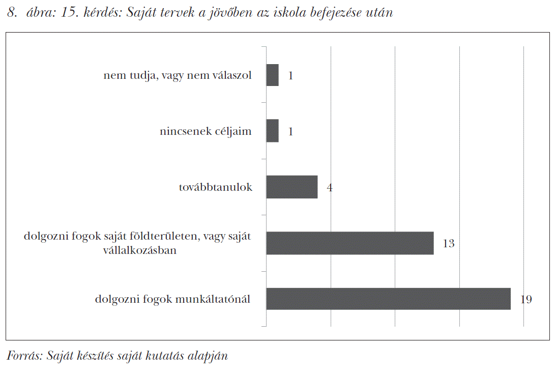 15. kérdés: Saját tervek a jövőben az iskola befejezése után
