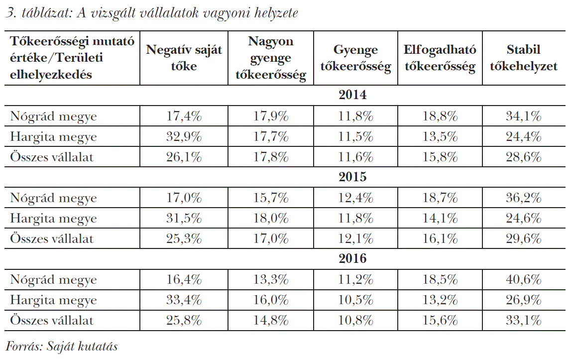 A vizsgált vállalatok vagyoni helyzete