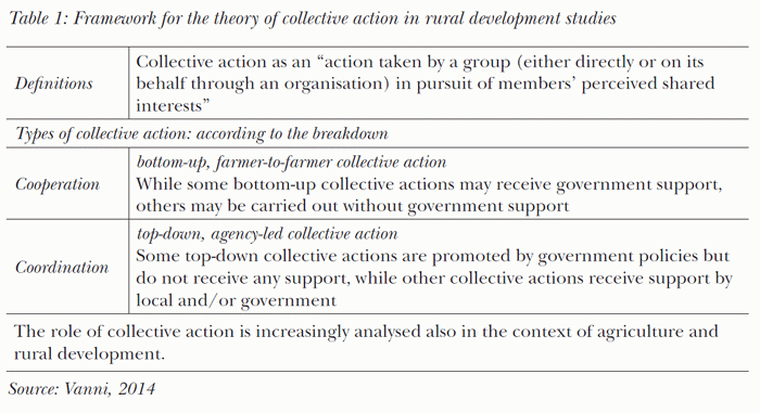 Framework for the theory of collective action in rural development studies