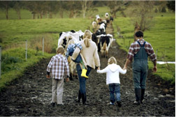 Az utódlás hatása a mezőgazdasági gazdálkodók együttműködési készségére
