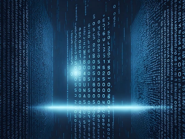 A digitalizáció fejlődése az önkormányzatok működése során